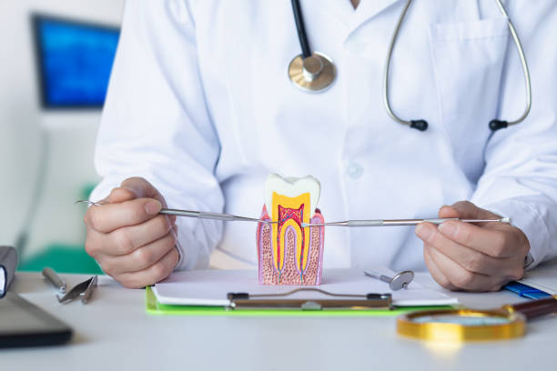 Best Emergency Dental Care for Broken or Chipped Teeth in Woodruff, SC